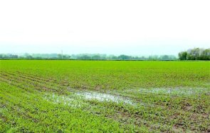 кахъри обилните дъждове разтревожиха производителите сливенско