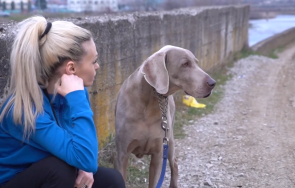 жена скочи метров преливник спаси кучето