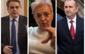 прогноза диана дамянова изборите радев съюзи ппдб три месеца самовзривят