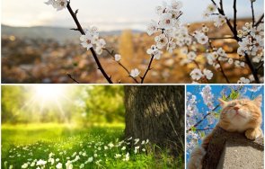 чудесно време меко слънчево топло живакът стига пролетните градуса карта