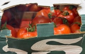 митничари лесово спипаха тона недекларирани зеленчуци