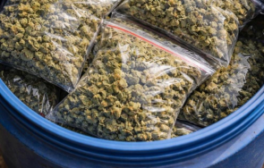 спипаха голямо количество марихуана бидони бургас снимки