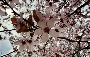 астрономическата пролет настъпва 1624 часа