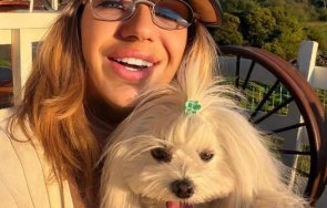 анита мейзер открадна зъбите русата златка