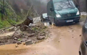 родопите борят щетите пороите бедстващи