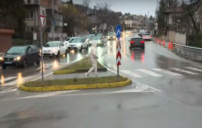 напрежение сред родители годишно дете беше блъснато автомобил училище