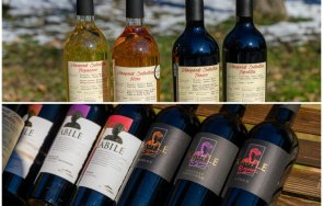 френско жури позлати вината ямбол снимки