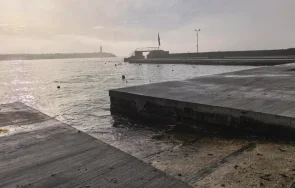 царево рибна борса