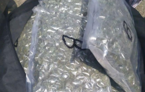 откриха 660 канабис сметище бобов дол