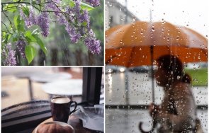 деня размисъл стойте вкъщи валежи провалят излети идеи разходка карта