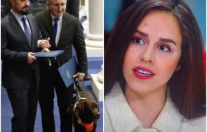страшна простотия ружа райчева изгаври гнусно кучето незрящия депутат