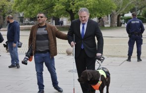 първи път незрящ депутат куче водач част новия парламент снимки