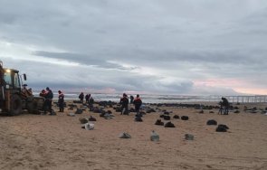 000 куб петролни отпадъци събраха атаките туапсе
