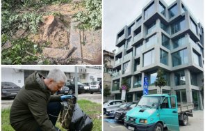 кметът варна измисли схема сече дървета пречат бетона