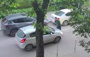 самозабравилият мирчев целува ръце дара