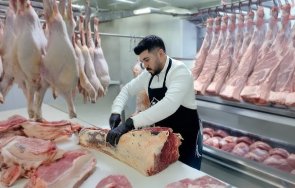 стотици касапи аматьори болници турция осакатили колене курбан байрам
