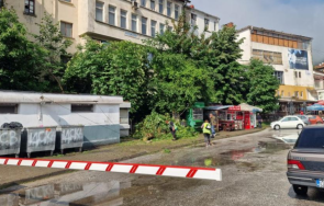 мълния повали дърво автогарата смолян