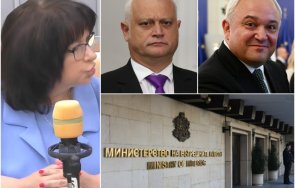 теменужка петкова разкри ръчичка пипа информационните масиви мвр