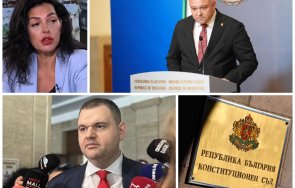 патронажа мвр цветанка андреева разкри каква целта активното мероприятие пеевски атанасова