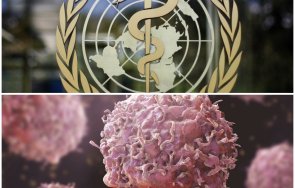 късен шокиращ доклад сзо случаите рак увеличат близо 2050