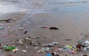 гнусно дамски превръзки тоалетна хартия изплуваха плаж варна