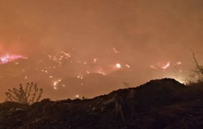 голям пожар бушува асеновград пожарникари борят огъня снимки