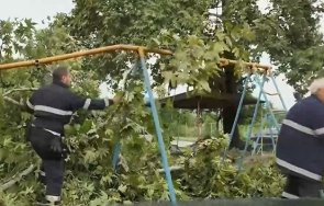 буря вилня петрич вятърът изкорени дървета нанесе сериозни щети