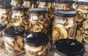 разбиха незаконен цех производство консервирани гъби иззеха 300 продукция