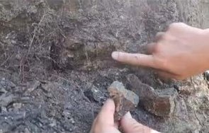 кост динозавър милиона години откриха трън