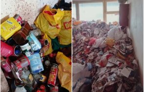 плъхове смрад жители дружба пропищяха тормоза психично болен съсед