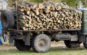седнали дървата работници паднаха дере заедно камиона старозагорско