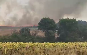 пожар избухна големия военен учебен полигон българия