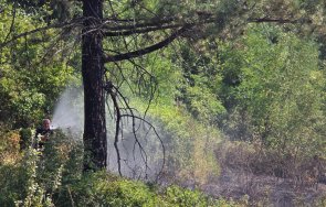 локализиран пожарът планината славянка