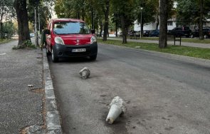 ганьо северозапада пази паркомясто врачански