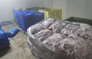 унищожават тон храни бабх затвори нерегламентиран обект производство консерви