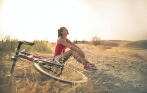 цели новата година