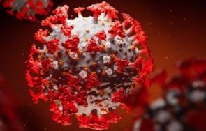 млн заразените коронавирус света началото пандемията