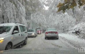 движението прохода петрохан ограничено заради паднало дърво