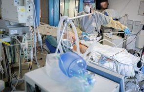 армения подготвят продължаване карантината заради коронавируса шест месеца