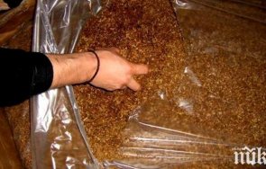 100 нелегален тютюн заловиха буковлък