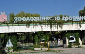 софийският зоопарк преброи 300 000 посетители