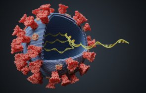 новият covid щам доказан вече европейски държави