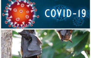 късен нощен сензационно разкритие експерт сзо огласи произхода covid