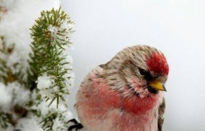 звездите говорят всяко добро дело връща стократно молитвите бъдат чути