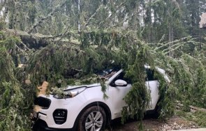 силен вятър събори дървета потроши коли пампорово снимки