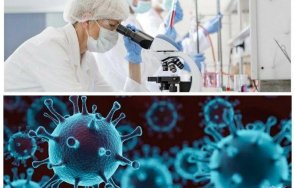 дългоочакван пробив учени открили слабото covid намерили пътя лечението