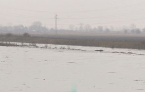 столичният требич подгизна