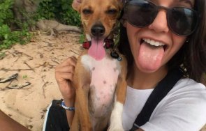 нина добрев