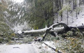 тежка зима северозапада селища монтанско останаха без ток отрязан достъпът хижа ком