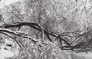 извънредно пик туристи бият тревога блокирани без ток хижа ком сред тях деца